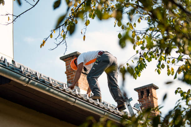 Best Roof Gutter Cleaning  in Speer, NC